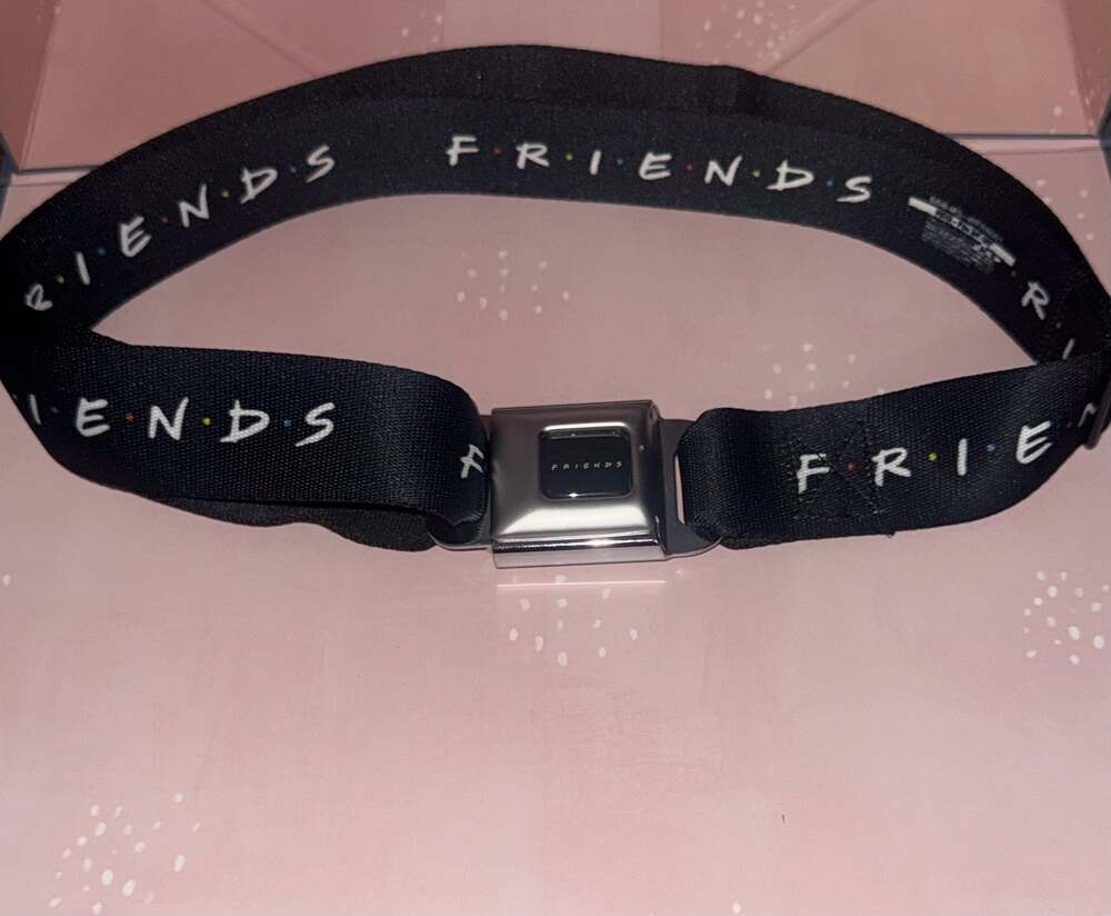 Buckle-Down Friends TV Show Logo Seatbelt Belt